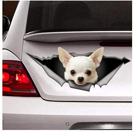 Generic Auto Sticker Autoaufkleber Lustig Dog Weißer Chihuahua-Aufkleber, Chihuahua-Auto-Aufkleber, Haustier-Aufkleber, Hund-Aufkleber(15Cm) C1S877(1PCS)
