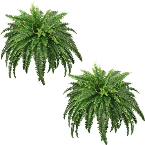FOREST PRINCE 2 Piezas de Helechos Artificiales Grandes para el Aire Libre, 107cm Plantas Falsas plasticos para el Hogar, Jardín, Alféizar de la Ventana, Pared Enredadera, Arbustos (59 Hojas)