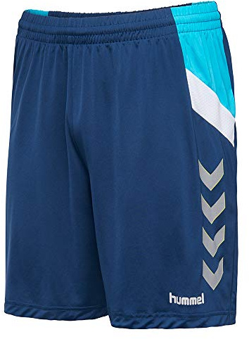 hummel Herren Shorts Tech Move Poly Shorts