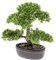 künstlicher Bonsai in brauner ovaler Keramikschale (32 cm, Ficus)