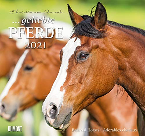 Geliebte Pferde - Kalender 2021 - DuMont-Verlag - Wandkalender - Fotokalender - 37,8 cm x 36 cm