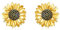 ONEFINITY 925 Sterling Silber Sonnenblume Ohrstecker für Mädchen Vergoldete Ohrringe Sonnenblume Ohrringe für Frauen Valentinstag Geschenke