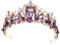HAPINARY 1stück Violette Kristallkrone Für Braut Hochzeits Haarschmuck Tiara Luxuriöses Damen Diadem Für Besondere Anlässe Leicht Und Langlebig Für Hochzeiten Und Partys