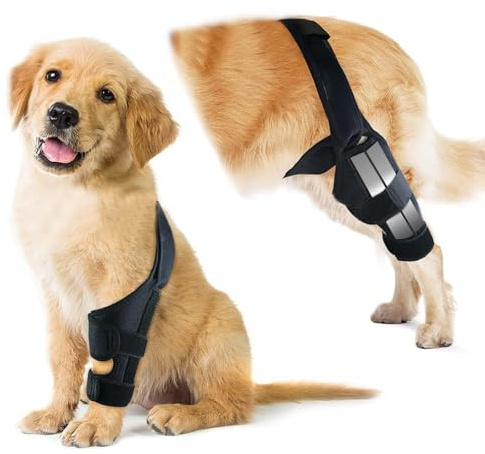 Dog Knee Brace for Hind Leg, Adjustable ACL Recovery Aid for Dog Back Legs, Cruciate Ligament Support for Injured Elderly Dogs, Warm Joint & Relief Pain, Featured Diving Cloth Material(Black, M)