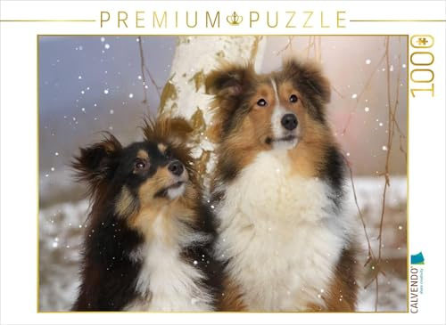 CALVENDO Puzzle EIN Motiv aus dem Kalender Wir lieben Shelties | 1000 Teile Lege-Größe 64 x 48 cm Foto-Puzzle für glückliche Stunden