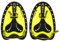 Schwimmpaddels Hand,Paddle Paddle Paddle Pad Für Schwimmen,Tauchflossen,Training Der Hand Zum Schwimmen (M-Gelb)