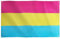 Runesol Bandera Pansexual, 91x152cm, 3ft x 5ft, 4 Ojales, Ojal en Cada Esquina, Bandera del Orgullo, Bandera de Omnisexualidad, Bandera LGBT, Día del Orgullo, Exterior, Colores Vívidos