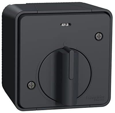 Schneider Electric MUR35067 Mureva Styl - Interrupteur temporisé LED - saillie - IP55 - IK08 - gris INTER TEMPO GRIS SAILLIE