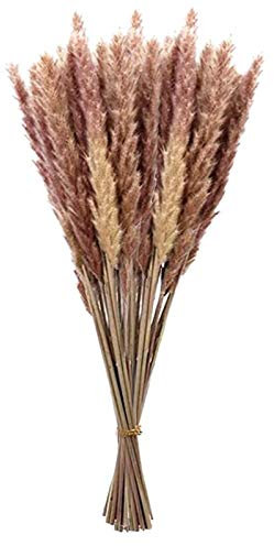 Alecony Fleurs 15PC Branches de décoration séchée vases Bouquets décoration Boho déco à la Maison séchée Cool Office Gadgets (Brown-b, One Size)