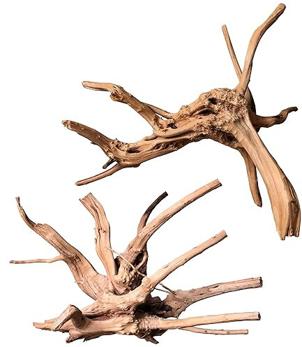 majoywoo Natürliches großes Treibholz für Aquarium-Dekoration, Reptilien-Dekor, sortierter Spinnenholzzweig, 27,9–35,6 cm, 2 Stück, Aquarium-Dekoration
