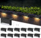 Liuyife 12 Unidades Luz Solar Exterior para Escaleras, Impermeable Luces Solares para Cubierta, Blanca Cálida, LED Luz Solar Para Escaleras Exteriores, Escalones, Valla, Terraza, Patio, Camino