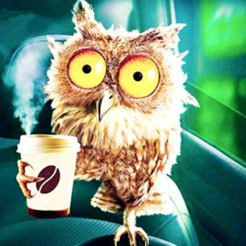 ParNarZar Diamond Painting Set Eule mit Kaffee 35x35 cm voll Bild Geklebt Runde Steine 5D Diamant Painting Stickerei Malerei Kunsthandwerk für Küche Cafeteria Dekoration