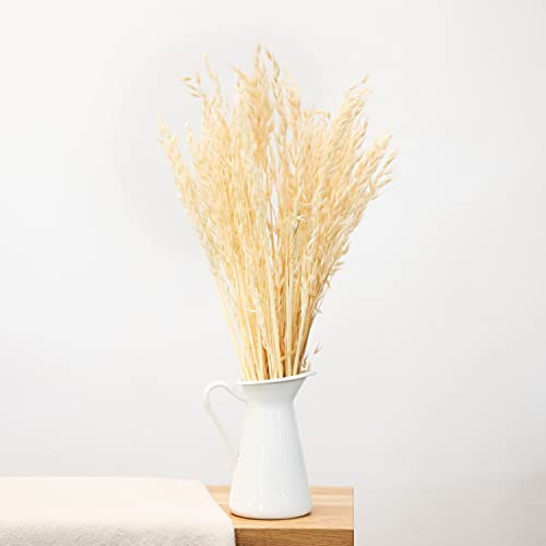 Hafer getrocknet + Gebleicht, Bund ca. 70cm, natürliche Trockenblumen zum basteln oder dekorieren