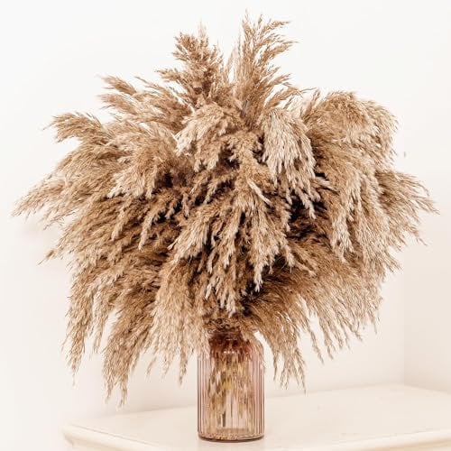 GOALS 20-Pcs Fluffy Pampas Grass 60cm Tall Brown Dry Boho Room Decor Natural Pampa Bouquet Wedding Fall Home Decoration (Brown, 60 cm Tall)