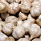 BRKENT Winterhart Zwiebeln Elefantenknoblauch WintergemüSe Balkon GemüSe Elefanten Knoblauch Pflanzen KräUtergarten KüChenkräUter GemüSepflanzen Garten Winterknoblauch 2 Steckknoblauch, Weiß