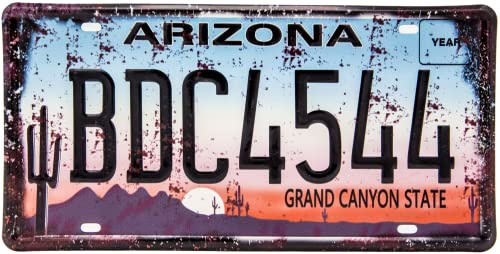 Retro Nummernschild - Route 66 - Arizona - USA Vintage Auto Motorway Deko Schild, Blechschild, 30 x 15 cm