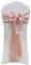 iEventStar Satin Sash Sashes Chair Bow Bows Cover Wedding Banquet Party Chair Decoration (Rose Pink, 10)
