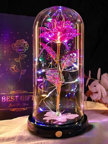 DEEMEI Eternal Rose Flowers Birthday Gifts for Women, for Mum Her, Upgraded USB Galaxy Crystal Rose in a Glass Dome LED Light-Up Presents for Anniversary Wife Grandma, Pink