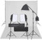 qohoio Kit per Studio Fotografico con Set di Luci e Fondale,Studio Foto,Fotografia,Illuminazione e Studio,Luci e Flash da Studio -3094686
