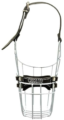 Dackel Rüde - CHOPO Drahtmaulkorb - Hundemaukorb -Komfort und Sicherheit in Perfekter Balance