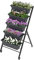 Fioriera verticale da giardino con 5 fioriere, scala mobile per erbe aromatiche su ruote bloccabili, telaio in metallo, aiuola rialzata a 5 ripiani, per balcone e giardino (colore: nero, 68 x 57 x 117