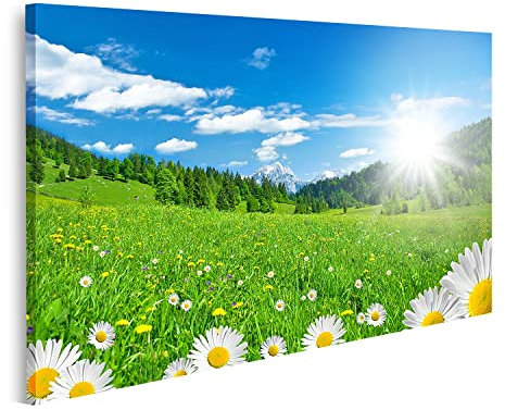 islandburner Bild auf Leinwand Frühling Alpen Wiese mit Blumen Himmel Blau Bilder Drucke Wandbilder Wanddekoration