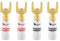 Nakamichi connettori a banana 12-18 AWG 4 mm placcati in oro 24 K adattatore spina a banana per altoparlanti cablati, amplificatore per altoparlanti HiFi 4 pezzi (2 paia) Spina banana forcella