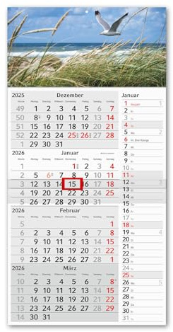 Timr Calendario 4 mesi a strisce 2026 Calendario da parete 4 mesi con cursore 60 cm Calendario quadrimestrale da compilare | Motivo Dune Gabbiano | tr321