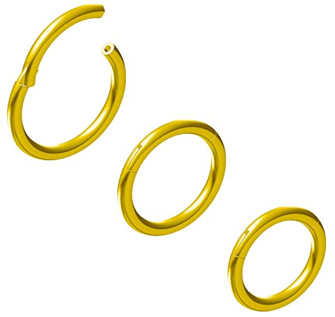 NewkeepsR 316L Edelstahl Hinged Segmentring Augenbraue Conch Daith Helix Lippe Nase Ohr Rook Septum Clicker Ringe