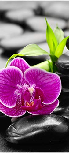 wandmotiv24 Türtapete Zen Basaltsteine und Orchidee 70 x 200cm (B x H) - Dekorfolie selbstklebend Sticker für Türen, Türfolie, Aufkleber, M0954