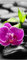 wandmotiv24 Türtapete Zen Basaltsteine und Orchidee 70 x 200cm (B x H) - Dekorfolie selbstklebend Sticker für Türen, Türfolie, Aufkleber, M0954