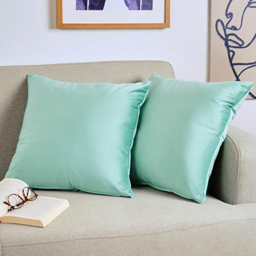 Blumtal 2er Set Kissenbezug 50x50 cm Hellgrün - dekorativer Samt Kissenbezug mit verstecktem Reißverschluss, Kissenhülle für Zierkissen Deko-Kissen Polster Sofakissen & Couchkissen, waschbar