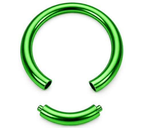 Generisch TITAN G23 SEGMENTRING Piercing Ring Segment EDELSTAHL CHIRURGENSTAHL 316L Nase Septum Ohr Helix Lippe Augenbraue Intim Brust Tragus Piercingring Nasenring Hoop