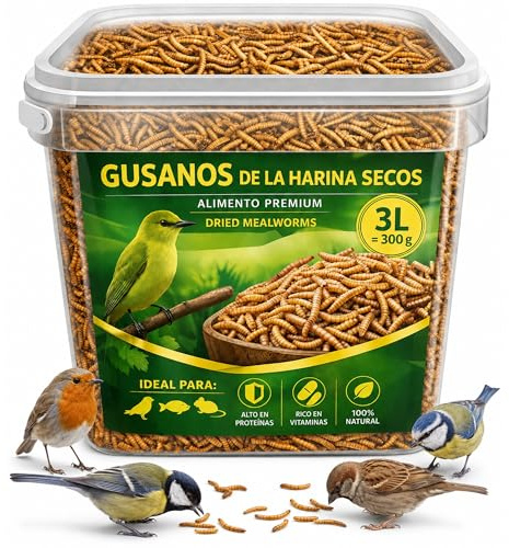 AF® Camole della Farina Essiccate 300g, 2,5L Mangime Uccelli Selvatici Tenebrio Molitor 52% Proteine, Snack Naturale per Pettirosso, Cinciallegra e Ricci, Alternativa Farina di Grillo 100% Naturale