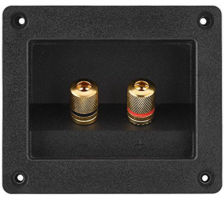 AMONIDA Connecteur de Terminal, Prise Murale Audio Composants acoustiques pour Haut-Parleur HiFi 2 boîtier de connecteur de câble de borne de borne en cuivre
