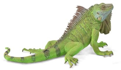 Collecta Figurka Iguana 88965 [FIGURKA]