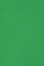 Netuno 50 x Tonkarton DIN A5 148,5x 210 mm Grün 250g Burano Verde Bandiera Foto-Karton durchgefärbt zum Basteln Gestalten DIY-Buntpapier A5 Feinpapier farbig Bastelkarton Tonzeichen-Papier