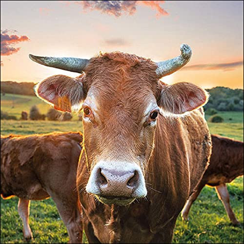Ambiente - 13317525 - Papierservietten, Lunchservietten, 20 Stück, Kuh, 33cm x 33cm, 3 lagig