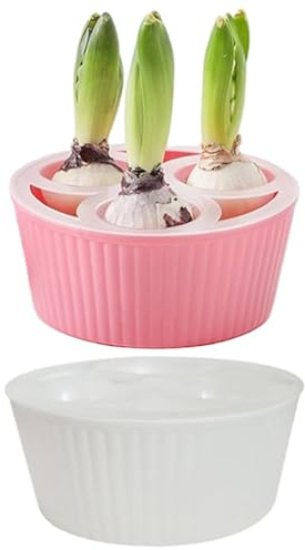 Lawnrden Bulbi di giacinto, confezione da 2 fioriere per coltivazione - Vaso bianco a 3 scomparti con indicatore del livello dell'acqua per tulipani, giacinto e bulbi di narcisi