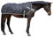 Kerbl 328690 Führanlangendecke, schwarz, 130/140 cm