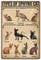TRITXIY Types of Sphynx Cats Poster Sphynx Cats Lovers Poster Home Living Decor Poster, Retro Home Decor, BlechschildGeschenke, 30 x 40 cm