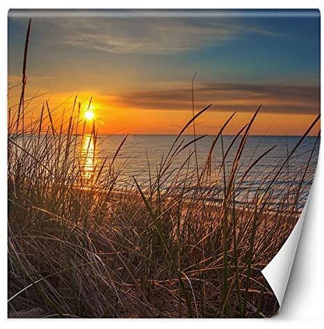 Feeby Fototapete XXL Strand Sonnenuntergang 200x200 cm Orange Vliestapete Moderne Design Wandtapete Küche Flur Wohnzimmer Büro Badezimmer Kinderzimmer Meer Gras Himmel