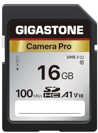 GIGASTONE Kamera Pro 16GB SDHC Speicherkarte mit bis zu 100 MB/Sek. für Digitalkameras Canon Sony Olympus, Full HD Videoaufnahmen UHS-I U1 V10 Klasse 10
