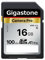 GIGASTONE Kamera Pro 16GB SDHC Speicherkarte mit bis zu 100 MB/Sek. für Digitalkameras Canon Sony Olympus, Full HD Videoaufnahmen UHS-I U1 V10 Klasse 10