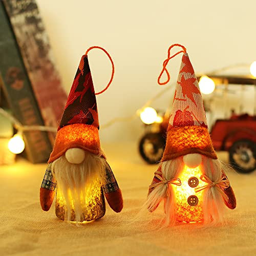 behone Autunno Decorazioni,2 Pezzi Decorazioni Autunnali Gnomi,Autunno Gnomo,Gnomo con Luce,Autunno Nano Peluche Il Giorno del Ringraziamento,Decorazioni Autunnali casa,Decorazione Natalizia