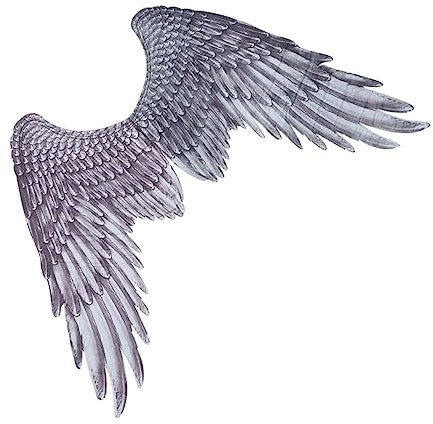 WRITWAA Disfraz De Ángel Negro Con Para Cosplay y Accesorio Unisex Para y Halloween Diseño