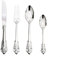 MMRTDJDR Ensemble de Couverts en Argent et en Or de Luxe et en Or pour 6 Personnes Ensemble de Vaisselle élégante avec cuillères à Couteaux à canons à dîner et en Service