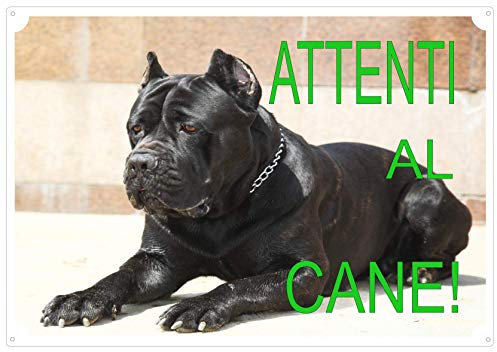 Cartello TargaATTENTI AL CANE da Cancello DOGO ARGENTINO cm 30 x 21,5