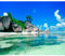 decomonkey - Papier Peint Panoramique Nature 350x256 cm - Décoration murale moderne – Tapisserie décorative pour chambre salon - Art mural unique design tendance