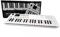FBT E-Chord SK37 - Mini Tastiera Digitale da 37 Tasti e 32 Voci 100 Suoni, USB e MIDI, Bianco